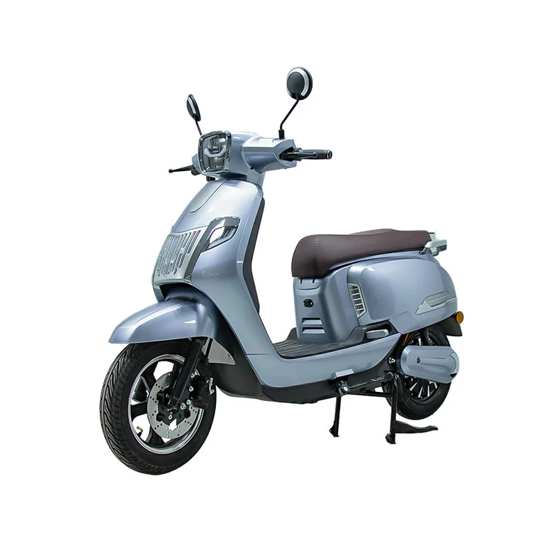 Moto elétrico para adultos 10 polegadas de 800W Motocicleta