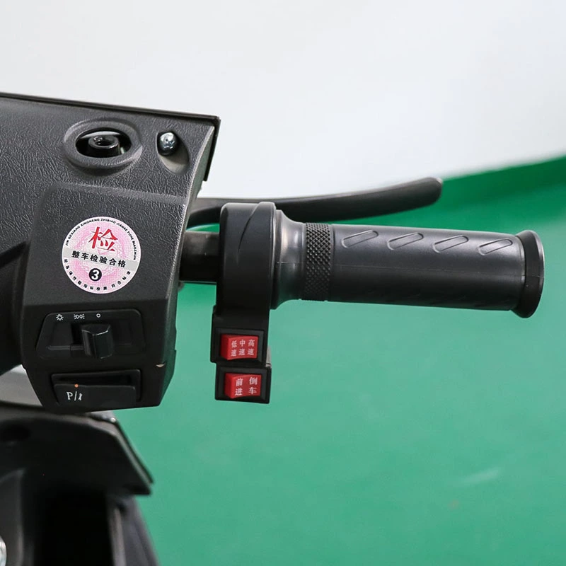 72v Voltage Electric Motorcycle Ckd Packing